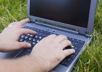 Hands and laptop on the herb