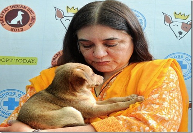 maneka with dog