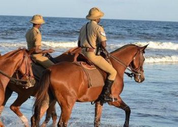 മുംബൈ പോലീസിൽ കുതിരപ്പട മടങ്ങിയെത്തുന്നു : പുനഃസംഘടിപ്പിക്കുന്നത് 88 വർഷങ്ങൾക്ക് ശേഷം