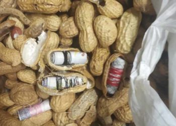 ഡൽഹി എയർപോർട്ടിൽ 45 ലക്ഷം രൂപയുടെ വിദേശ കറൻസി പിടിച്ചെടുത്തു : പണം കടത്താൻ ശ്രമിച്ചത് നിലക്കടലയ്ക്കുള്ളിൽ