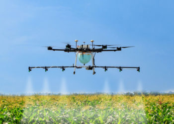 വെട്ടുകിളി ശല്യം ആവർത്തിക്കാൻ സാധ്യത : ഡ്രോണുകളും വിദഗ്ധ ഉപകരണങ്ങളും വാങ്ങാൻ പദ്ധതിയിട്ട് കേന്ദ്രസർക്കാർ