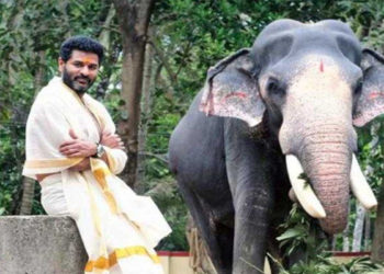 ഗുരുവായൂര് പത്മനാഭന് വിടവാങ്ങി: പൂരപ്രേമികള്ക്കും, ഭക്തര്ക്കും നൊമ്പരമായി വിയോഗം