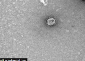 കൊറോണാ വൈറസിന്റെ ജനിതകഘടന ഡീകോഡ് ചെയ്തു : റഷ്യ കോവിഡ്-19 വാക്സിൻ നിർമ്മിക്കുമെന്ന പ്രതീക്ഷ ശക്തമാകുന്നു