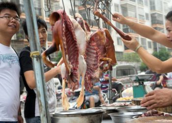 ചൈനിസ് ഭക്ഷണരീതിയെ വിമര്‍ശിച്ച് ഇമ്രാന്‍ ഹാഷ്മി:’വവ്വാലുകളെ പോലെ ഭക്ഷിക്കുന്നതാണ് ഇപ്പോഴത്തെ അവസ്ഥയ്ക്ക് കാരണം’