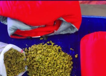 സ്ലീപ്പിങ് ബാഗിൽ നിന്നും കസ്റ്റംസ് കണ്ടെടുത്തത് 1.7 കിലോ ഉയർന്ന നിലവാരമുള്ള കഞ്ചാവ് : 9 ലക്ഷത്തിന്റെ ഓൺലൈൻ ഓർഡർ യു.എസിൽ നിന്ന് ആന്ധ്രയിലേക്ക്