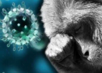 വയനാട്ടിലെ കുരങ്ങുപനി : ഒരാൾക്ക് കൂടി രോഗം സ്ഥിരീകരിച്ചു