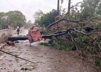 ഒഡീഷയിൽ മരങ്ങൾ കടപുഴക്കി ആഞ്ഞടിച്ച് ഉംപുൻ : ചുഴലിക്കാറ്റിൽ രണ്ടു മാസം പ്രായമുള്ള കുഞ്ഞ് മരിച്ചു