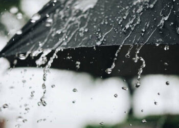 കേരളത്തിൽ ശക്തമായ മഴയ്ക്ക് സാധ്യത : 12 ജില്ലകളിൽ യെല്ലോ അലർട്ട്