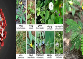 കൊറോണയും കര്‍ക്കിടകത്തിലെ ദശപുഷ്പങ്ങളും: അറിയാം ഔഷധമൂല്യങ്ങള്‍