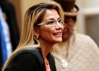 കോവിഡ്-19 : ബൊളീവിയൻ പ്രസിഡണ്ട് ജിനൈൻ അനൈസിനു രോഗബാധ സ്ഥിരീകരിച്ചു