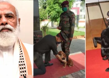 സൈന്യത്തിനഭിമാനം ; ഡോഗ് സ്ക്വാഡിലെ ധീര പോരാളികളെ അനുസ്മരിച്ച് പ്രധാനമന്ത്രി