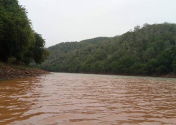 ഭവാനിപ്പുഴയിൽ മലവെള്ളപ്പാച്ചിൽ : തിരച്ചിലിനു പോയ പോലീസ് സംഘം വനത്തിൽ കുടുങ്ങി