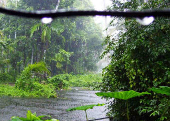 കേരളത്തിൽ ഈ വർഷം സെപ്റ്റംബറിൽ പെയ്തത് റെക്കോർഡ് മഴ : 1878 ലെ റെക്കോർഡ് മറികടന്നു