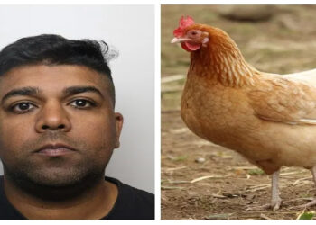 കോഴികളെ പ്രകൃതിവിരുദ്ധ പീഡനത്തിനിരയാക്കി കൊന്ന് ദൃശ്യങ്ങൾ പകർത്തി സൂക്ഷിച്ചു; പ്രതി റഹാന് മൂന്ന് വർഷം തടവ്