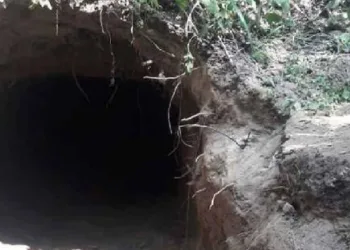 ജമ്മുവില് അതിര്ത്തിക്കടുത്ത് പാകിസ്ഥാനിൽ നിന്നും കുഴിച്ച ഭൂഗര്ഭപാത ബി.എസ്.എഫ് കണ്ടെത്തി