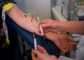 അപൂർവ്വങ്ങളിൽ അപൂർവ്വമായ സ്വർണ്ണ രക്തം, ദാതാക്കൾ വെറും 9 പേർ; വിശേഷങ്ങൾ അറിയാം (വീഡിയോ)