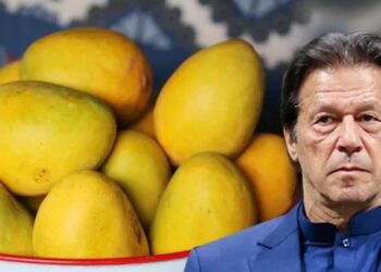 പാകിസ്താൻറെ ‘മാമ്പഴ നയതന്ത്ര’വും വിജയിച്ചില്ല: അമേരിക്കയും ചൈനയുമുൾപ്പെടെ 32 രാജ്യങ്ങൾ സമ്മാനം മടക്കി നൽകി പാകിസ്താനെ അപമാനിച്ചു