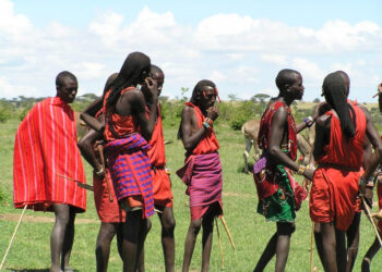 കുട്ടികൾക്ക് കുടിക്കാൻ പശുവിന്റെ ചോര, പൗരുഷം തെളിയിക്കാൻ സിംഹ വേട്ട; അറിയാം മസായി ഗോത്ര വർഗ്ഗത്തിന്റെ വിശേഷങ്ങൾ (വീഡിയോ)