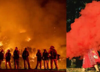 22000 ഏക്കര് സ്ഥലം കത്തിനശിക്കാനും, ഒരാളുടെ ജീവൻ നഷ്ടമാകാനും കാരണം പാർട്ടിക്കിടയിലെ സ്മോക്ക് ബോംബ്; ദമ്പതികൾക്കെതിരെ മനപ്പൂര്വ്വമല്ലാത്ത നരഹത്യാക്കുറ്റം ചുമത്തി കോടതി