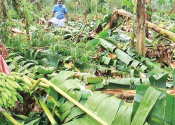 പുത്തൂരില്‍ മിന്നൽച്ചുഴലി; വ്യാപക നാശനഷ്ടം; വാതവിസ്ഫോടനമെന്ന് കാലാവസ്ഥാ വിദഗ്ധർ