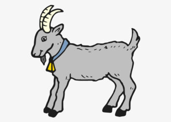 മലപ്പുറത്ത് വ്യാവസായിക ആടുവളർത്തൽ പരിശീലനങ്ങൾക്ക് തുടക്കമായി