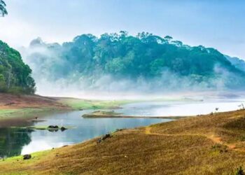 1300  രൂപക്ക് ഗവി കണ്ട് വരാൻ കെ.എസ്.ആര്‍.ടി.സി.യുടെ ബജറ്റ് ടൂറിസം പാക്കേജ്