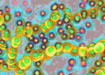 സ്ട്രെപ്റ്റോക്കൊകസ് അഥവാ ‘സ്ട്രെപ് എ  അണുബാധ :ഇംഗ്ലണ്ടിൽ ആറു കുട്ടികൾ മരിച്ചു