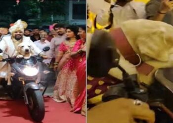 വരനും വളർത്തുനായയും ഒരേ വേഷത്തിൽ : വൈറലായി വിവാഹ വീഡിയോ; വളർത്തു നായയോടുള്ള മനുഷ്യൻറെ സ്നേഹത്തിന് പരിധിയില്ലെന്ന് സോഷ്യൽ മീഡിയ