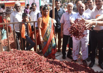 ഇടനിലക്കാരെ അകറ്റി നിർത്തി കർഷകർ നേരിട്ട് ഉപഭോക്താക്കളിലേക്ക്; കർണാടകയിൽ മുളക് മേള വൻ ഹിറ്റ്