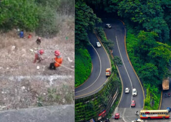 കുരങ്ങൻ താക്കോൽ തട്ടിയെടുത്തു,പിടിച്ചുവാങ്ങാൻ ശ്രമിക്കുന്നതിനിടെ താമരശ്ശേരി ചുരത്തിൽ നിന്നും കൊക്കയിലേക്ക് വീണ് യുവാവ്