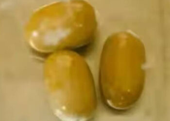 മലദ്വാരത്തിൽ ഒളിപ്പിച്ച് സ്വർണക്കടത്ത്; മലപ്പുറം സ്വദേശി മുഹമ്മദിൽ നിന്നും പിടിച്ചെടുത്തത് 36 ലക്ഷം രൂപയുടെ സ്വർണം