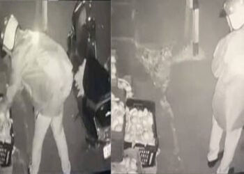 മാങ്ങ മോഷ്ടിച്ച പോലീസുകാരനെ പിരിച്ചുവിടാൻ തീരുമാനം; ഷിഹാബിനെതിരെയുള്ള നടപടി മറ്റ് ക്രിമിനൽ കേസുകൾ കൂടി പരിഗണിച്ച്