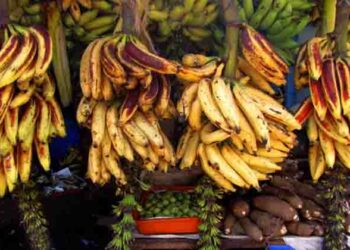 ഒരു കുല നേന്ത്രപ്പഴത്തിനു രണ്ടായിരം രൂപ!