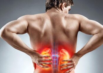 നിങ്ങളുടെ ഈ ശീലങ്ങളാണ് വൃക്ക രോഗങ്ങള്‍ക്ക് കാരണം, അല്‍പ്പം ശ്രദ്ധിച്ചാല്‍ വൃക്കരോഗത്തെ അകറ്റിനിര്‍ത്താം