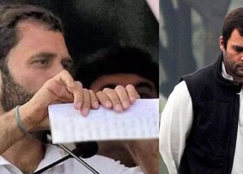 പോയ ബുദ്ധി..;അന്ന് ആ ഓർഡിനൻസ് കീറിയെറിഞ്ഞില്ലായിരുന്നെങ്കിൽ രാഹുലിന് കസേര തെറിക്കാതിരിക്കാനുള്ള പിടിവള്ളി ആയേനെ; ആ സംഭവം ഇങ്ങനെ