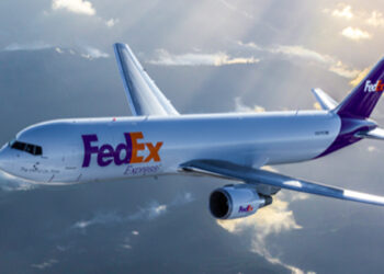 പറന്നുയർന്നതിന് പിന്നാലെ പക്ഷി ഇടിച്ചു; ഇന്ദിരാഗാന്ധി വിമാനത്താവളത്തിൽ വിമാനം അടിയന്തിരമായി താഴെയിറക്കി