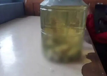 മിഷണറി സ്കൂളിലെ ബയോളജി ലാബിൽ ഭ്രൂണം കണ്ടെത്തിയ സംഭവം; വിശദമായ അന്വേഷണം ആരംഭിച്ച് പോലീസ്