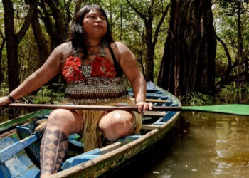 ആമസോൺ മഴക്കാടുകളിലെ ഖനന മാഫിയക്കെതിരായ പോരാട്ടം; വനവാസി വനിതക്ക് ഗോൾഡ്മാൻ പുരസ്കാരം