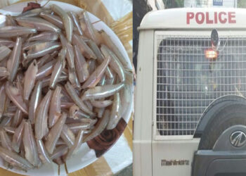 പോലീസ് സ്‌റ്റേഷൻ മെസ്സിലേക്ക് മീൻ വാങ്ങാൻ നൽകിയ പണം ഉദ്യോഗസ്ഥൻ തട്ടിച്ചു; അടിച്ചുമാറ്റിയത് 32,000 രൂപ; പരാതിയുമായി സഹപ്രവർത്തകർ