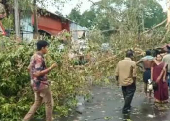 അതി ശക്തമായ മഴ; പത്തനംതിട്ടയിൽ മരം വീണ് ഇരുചക്ര വാഹന യാത്രികൻ മരിച്ചു; കൊട്ടാരക്കരയിൽ പ്രസ് സെന്ററിന്റെ മേൽക്കൂര തകർന്നു; വ്യാപക നാശനഷ്ടം