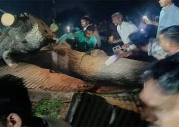 മഹാരാഷ്ട്രയിൽ ക്ഷേത്രപരിസരത്തുള്ള കുറ്റൻമരം കടപുഴകി വീണു; മഴ നനയാതിരിക്കാൻ ഷെഡ്ഡിൽ കയറി നിന്ന ഏഴ് പേർക്ക് ദാരുണാന്ത്യം; അഞ്ച് പേർക്ക് ഗുരുതര പരിക്ക്