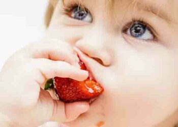 കുട്ടികളെ  ബുദ്ധിരാക്ഷസരാക്കാൻ  ബെറിപ്പഴങ്ങൾ!