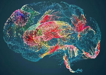 മരണത്തിന്റെ രഹസ്യം! മരിക്കുന്നതിന് മുമ്പായി തലച്ചോറില്‍ നടക്കുന്ന നിഗൂഢമായ പ്രവര്‍ത്തനം കണ്ടെത്തി ശാസ്ത്രജ്ഞര്‍