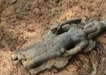 ചന്ദ്രഗിരിപ്പുഴയിൽ പാർത്ഥസാരഥി വിഗ്രഹം; പത്താം നൂറ്റാണ്ടിലേതെന്ന് ഗവേഷകർ