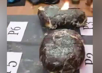 തമിഴ്‌നാട്ടിൽ 31 കോടി രൂപയുടെ തിമിംഗല ഛർദ്ദി പിടികൂടി; മലയാളി ഉൾപ്പെടെ നാല് പേർ അറസ്റ്റിൽ