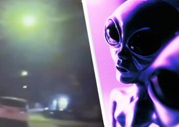 ആകാശത്ത് നിന്ന് എട്ടടി നീളത്തിലുളള രൂപങ്ങൾ വന്നു; അത് മനുഷ്യരല്ല; യുഎസിലെത്തിയത് അന്യഗ്രഹ ജീവികളോ ?