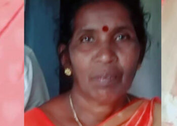 തൊഴിലുറപ്പ് ജോലിക്കിടെ അണലിയുടെ കടിയേറ്റു; മെഡിക്കൽ കോളജിൽ ചികിത്സയിലിരിക്കെ മരിച്ചു