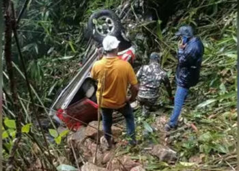 പൊന്മുടി ചുരത്തിൽ കാർ കൊക്കയിലേക്ക് മറിഞ്ഞു; നാലംഗ സംഘം രക്ഷപ്പെട്ടത് തലനാരിഴയ്ക്ക്