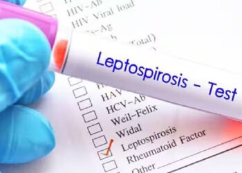 എലിപ്പനി; മലപ്പുറത്ത് രണ്ട് മരണം കൂടി