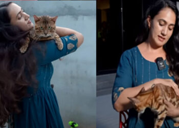 ഒരു കോടിയുടെ പൂച്ച കൊട്ടാരം; ഇവരാണ് എന്നെ നിയന്ത്രിക്കുന്നതെന്ന് അനു ജോസഫ്